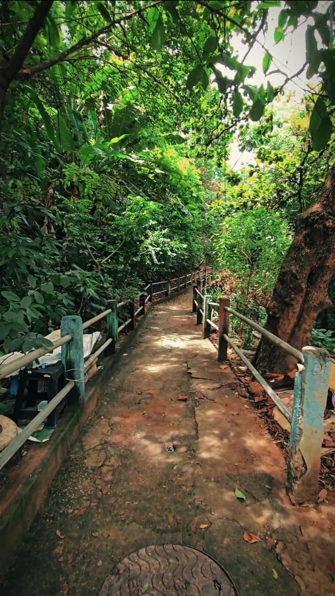 Hostel Chico Lessa Vitória Dış mekan fotoğraf